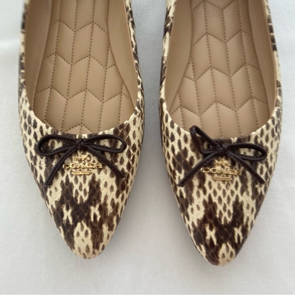 Coach Annabel Snakeskin Pointed Toe Ballet Flats - Picture 8 of 16